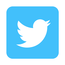 File:Twitter-Icon.png