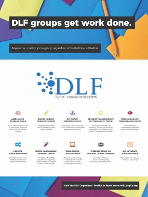 DLF Working Groups